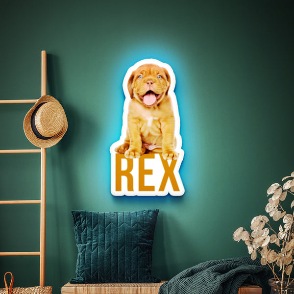 Novalytes Custom LED Wall Art | Dog Theme